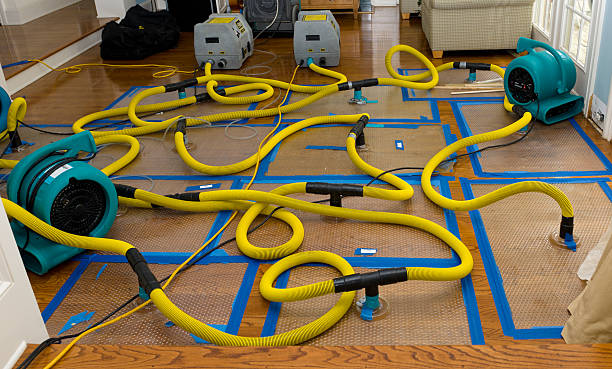 Professional Water Damage Repair technician working in North Bend, OR